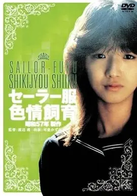 高清电影《今晚不看月亮》手机免费在线观看